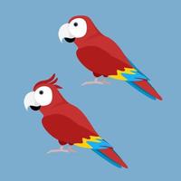 Two red parrots on a blue background vector