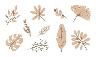 hermoso juego de hojas de palma planas. hojas de selva exótica vectorial. diseño de plantas tropicales vector