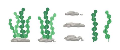 Vector designer elements set collection of green algae, sea grass, underwater seaweed plants and stones.