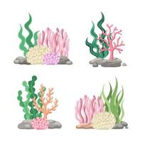 Set of coral reefs with algae, seaweed and rocks in various types cartoon illustration vector