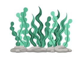 Underwater Organism Algae Seaweed Doodle Vector. Organic Water Plant Illustration. vector