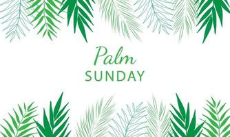 Palm Sunday - greeting banner template for Christian holiday, with palm tree leaves background. vector