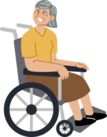 anziano femmina paziente nel un' sedia a rotelle. png