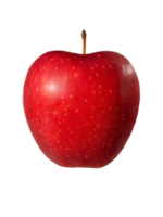 red apple with stick fruit isolated png