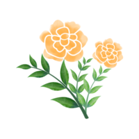 Digital Watercolor Flower and Leaves Design. High Quality PNG format size 5000 x 5000 px.  Can be used this graphic for any kind of Project like packaging, stationery, mugs, tshirts whatever you want.