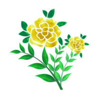 digital vattenfärg blomma och löv design. hög kvalitet png formatera storlek 5000 x 5000 px. kan vara Begagnade detta grafisk för några snäll av projekt tycka om förpackning, brevpapper, muggar, tshirts vad som helst du vilja.