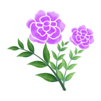 Digital Watercolor Flower and Leaves Design. High Quality PNG format size 5000 x 5000 px.  Can be used this graphic for any kind of Project like packaging, stationery, mugs, tshirts whatever you want.