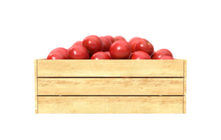 Tomatoes in a wooden crate on transparent background, PNG file