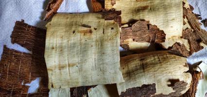 Top view of cassava skin or kulit ketela. photo