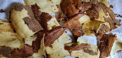 Portrait of cassava skin. photo