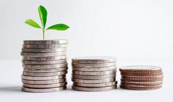 Green leaf plant on save money coins, Business finance saving banking investment concept. photo