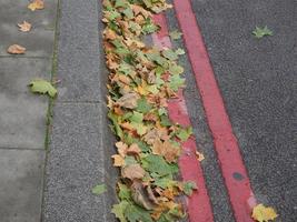 brown leaves texture background photo