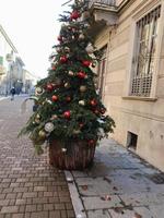 arbol de navidad en el centro de la ciudad foto