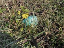 plastic bag amid the grass photo