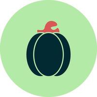 Pumpkin Vector Icon