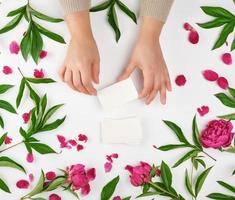 two female hands holding empty white paper cards and burgundy flowering peonies with green leaves photo