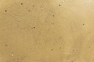textura de amarillo mar arena en un verano día playa foto
