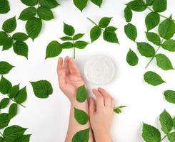 two female hands of a young girl with smooth skin and round jar with thick white cream, white background with green leaves of raspberry photo