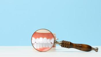 modelo de un humano mandíbula con blanco dientes y un de madera lupa en un blanco mesa. temprano diagnóstico, oral cuidado foto