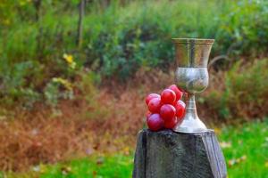 vino sabroso sobre fondo de uva de barril de madera foto