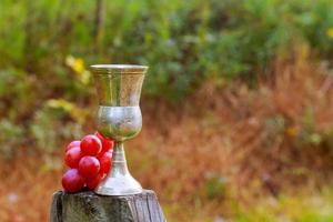 Tasty wine on wooden barrel grape background photo