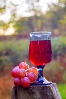 Glass of wine and grapes Jewish holidays photo