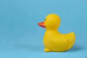 Side view of a yellow rubber duck on a blue background. photo