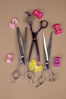 Tool for the groomer on a beige background. Dog grooming accessories. Combs and brushes for animals. View from above photo