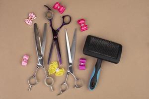 Tool for the groomer on a beige background. Dog grooming accessories. Combs and brushes for animals. View from above photo