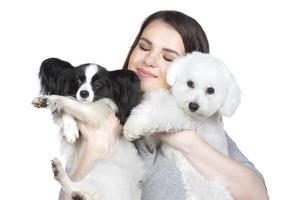 A cute young woman is holding her papillon and bichon puppy. Love between owner and dog. The girl plays with the dogs. Pets. photo