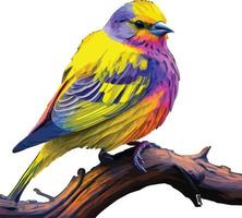 colorful canary beautiful bird vector