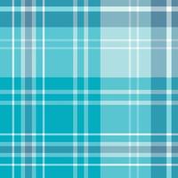 Seamless pattern in blue and white colors for plaid, fabric, textile, clothes, tablecloth and other things. Vector image.