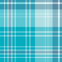 Seamless pattern in blue and white colors for plaid, fabric, textile, clothes, tablecloth and other things. Vector image.