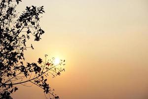 Background of the setting sun in the evening photo