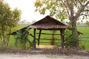 Farmer's accommodation in the rainy season photo