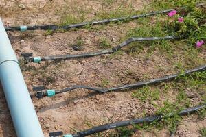 water pipe in flower garden photo