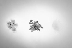 coffee beans background monochrome photo