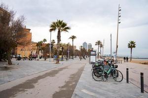 Bicycles at parking station and palm trees on promenade in La Barceloneta Beach photo