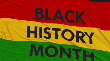 Black History Month Flag Cloth Removing from Screen, 3D Rendering, Chroma Key, Luma Matte Selection video