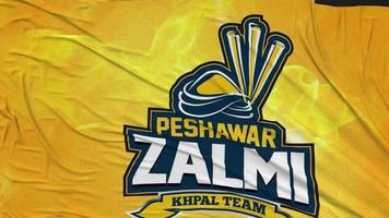 peshawar zalmi pakistan super liga cricket team flagga trasa avlägsnande från skärm, 3d tolkning, krom nyckel, luma matt video