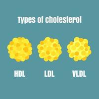 Types of Cholesterol vector to use for education