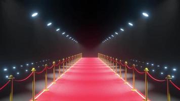 3D Red Carpet, Barriers with Rope and Lights - Event, Show Concept video