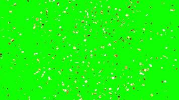 flygande gyllene konfetti isolerat på grön bakgrund fest begrepp video