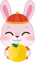 Pink Rabbit Boy Holding Orange in Chinese New Year Festival Cartoon Style png