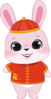 Pink Rabbit Boy Standing in Chinese New Year Festival Cartoon Style png