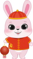 Pink Rabbit Boy Holding Paper Lamp in Chinese New Year Festival Cartoon Style png