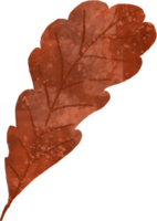 Watercolor Autumn Leaves Clipart - Fall Leaves - Leaf Variety png