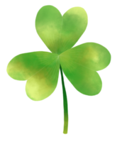 Happy St. Patrick's Day with Clover Leaf Watercolor style png