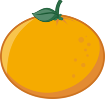 Orange Flat icon design png