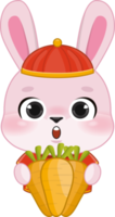 Pink Rabbit Boy Holding Carrot in Chinese New Year Festival Cartoon Style png